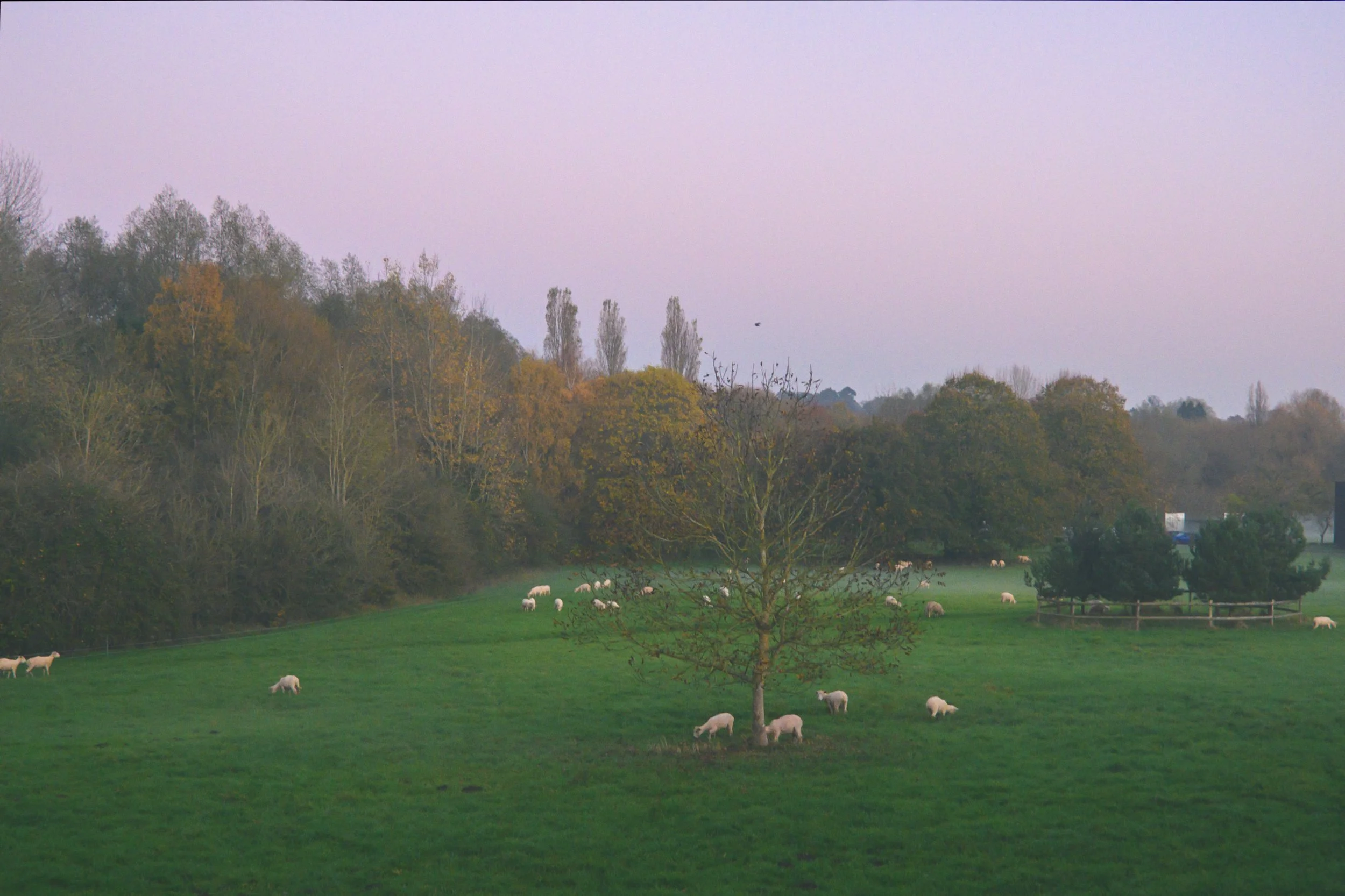St. Catherine's College, University of Oxford