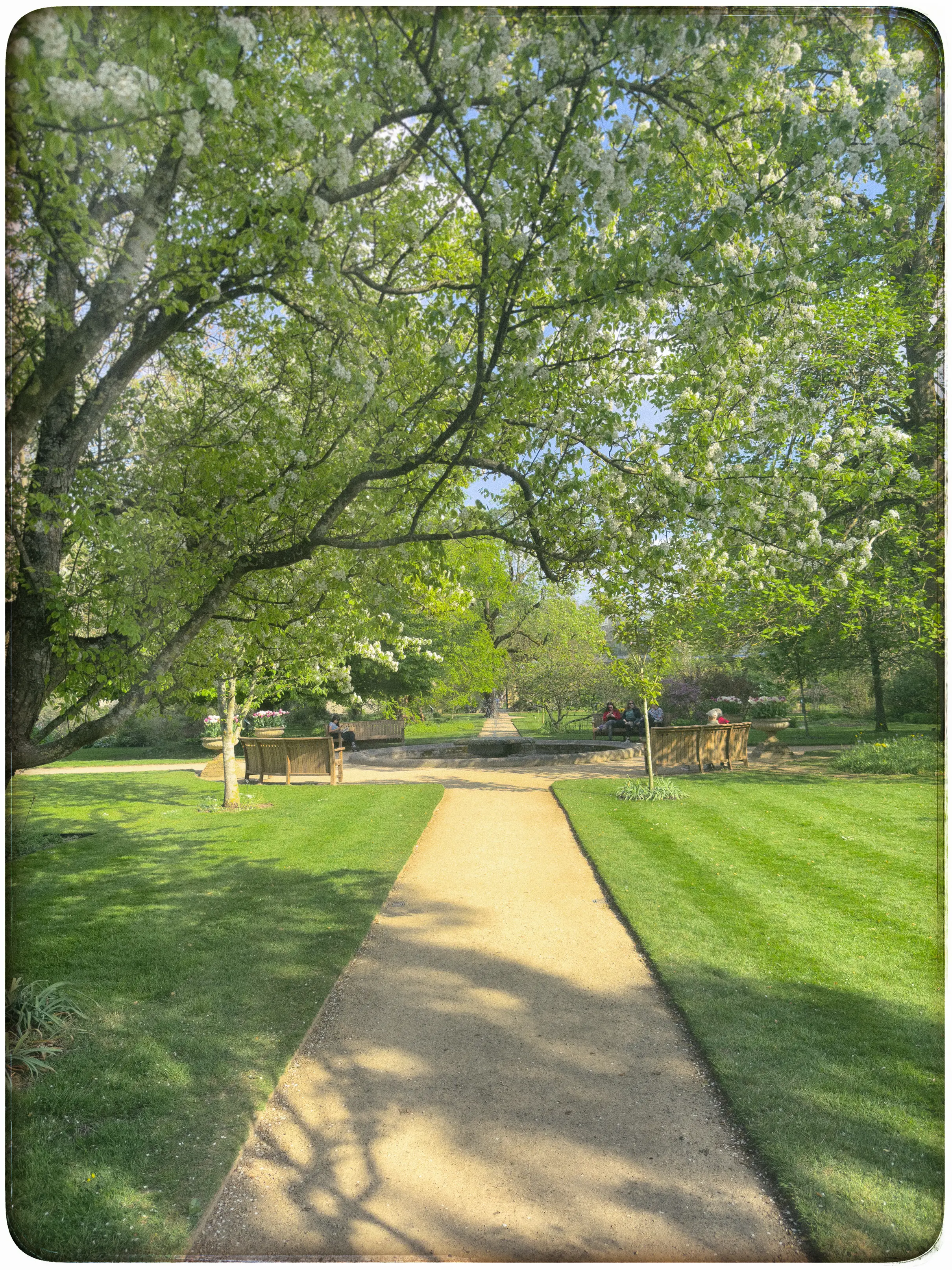 Oxford Botanic Garden